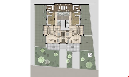 Image1